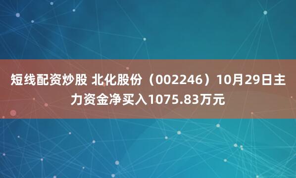短线配资炒股 北化股份（002246）10月29日主力资金净买入1075.83万元